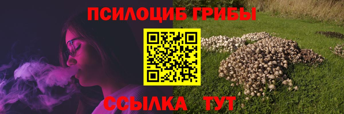 Псилоцибиновые грибы MAGIC MUSHROOMS Россошь