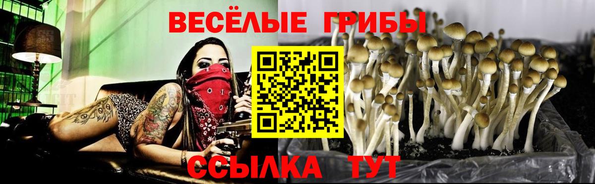 Россошь  Галлюциногенные грибы MAGIC MUSHROOMS  Вход с VPN  Псилоцибиновые грибы Psilocybine cubensis 